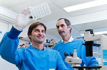 Stroke protection research funded by MSWA 