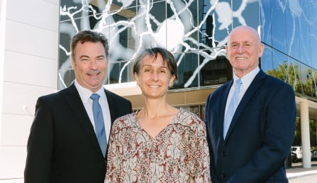 MSWA fund $1 million research into brain plasticity