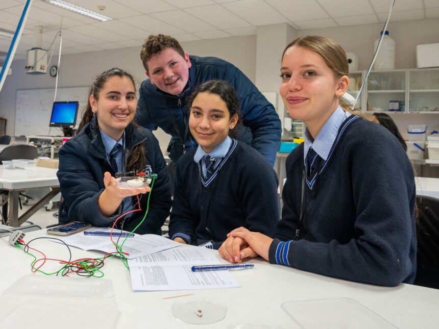 High school students learn the science behind the human brain