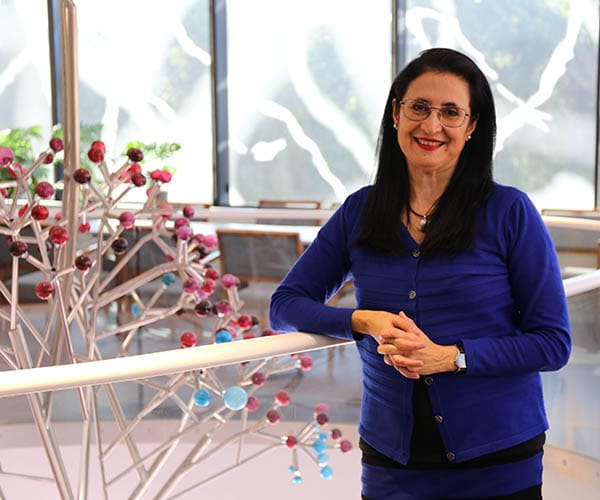 Research points to gaps in optimal palliative care without community contribution