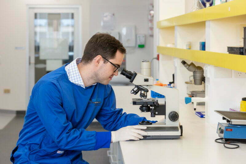 Telethon funding towards sophisticated brain imaging