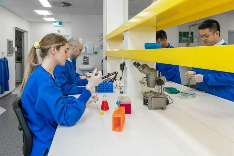 MSWA announces continued funding for multiple projects