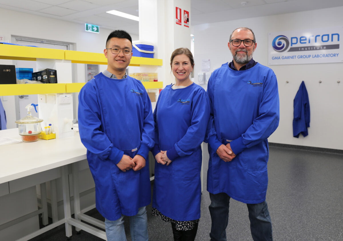 L-R Dr Oliver Li Dr Loren Flynn and Professor Anthony Akkari in the Perron Institute lab