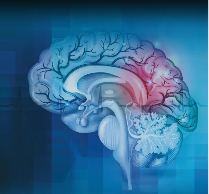 Researchers reveal new pathway to improve traumatic brain injury outcomes