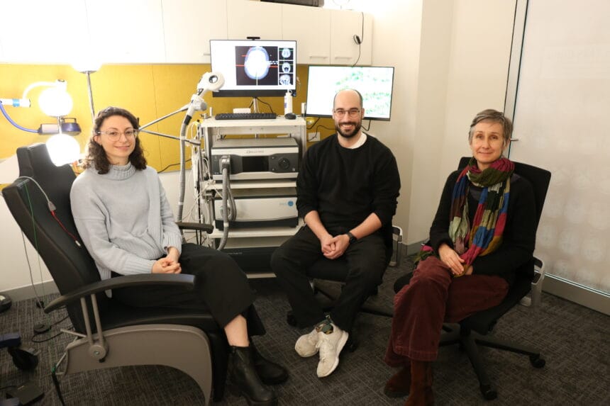 Major research grant for youth mental health research on personalised therapies